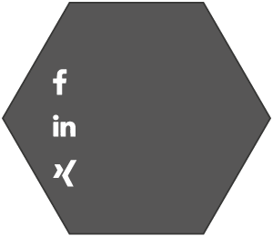 SynVation auf facebook, LinkedIn und Xing
